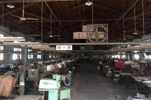 莆田老牌鞋厂3300万被拍卖，三条成型线背后折射产业转型之痛